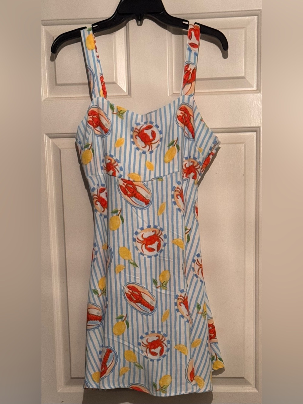 No Comment - Blue Striped Mini Dress with Crab & Lemon Print